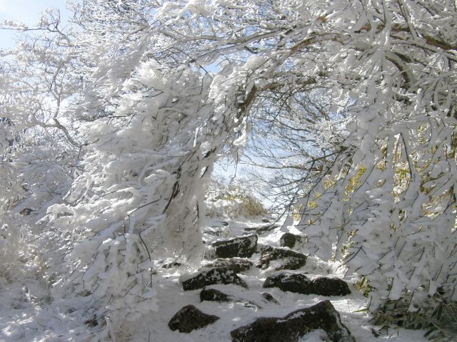c0042869_19383829.jpg