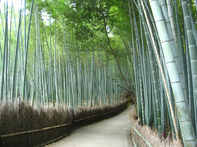 e0106372_1040715.jpg