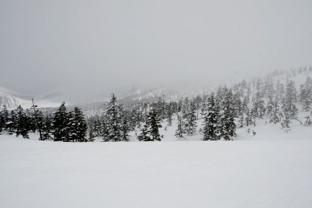 d0079579_432314.jpg