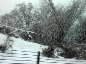 c0198485_1138393.jpg