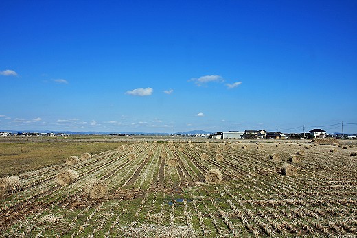 e0190885_2014557.jpg