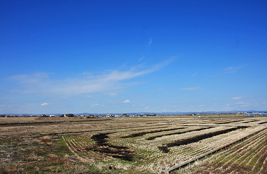 e0190885_203575.jpg