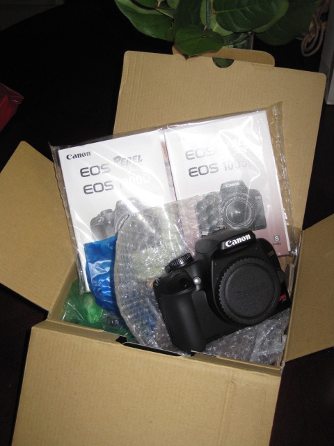 f0209395_13183151.jpg