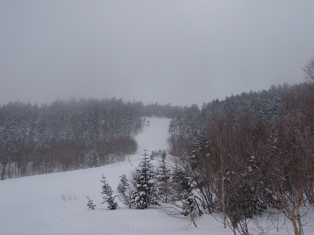 c0147398_0352581.jpg