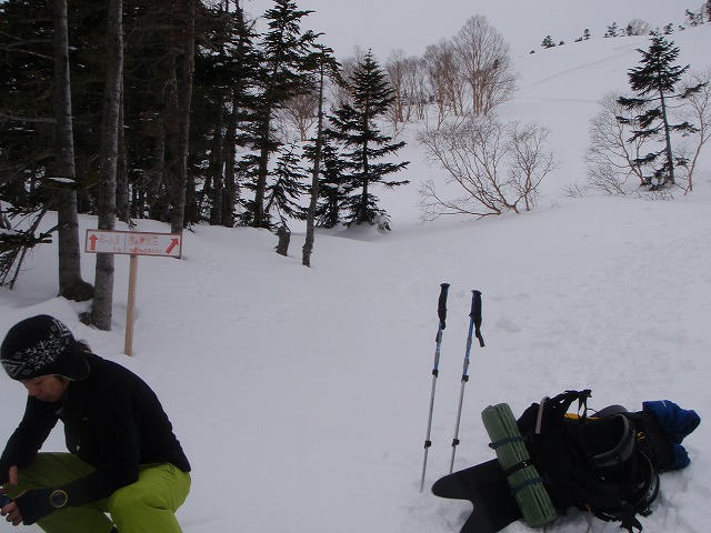 c0147398_0373259.jpg