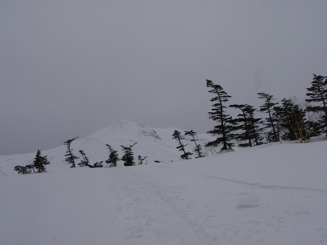 c0147398_038233.jpg