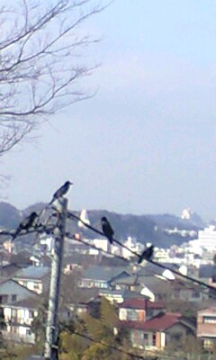 b0083902_1455815.jpg