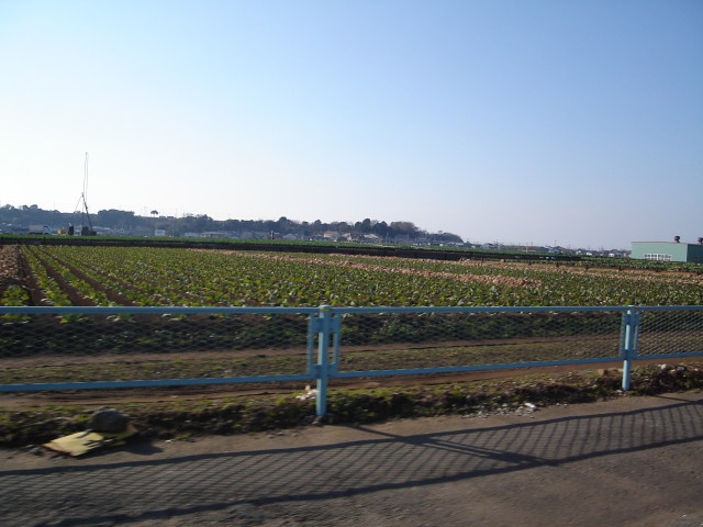 a0116205_21102236.jpg