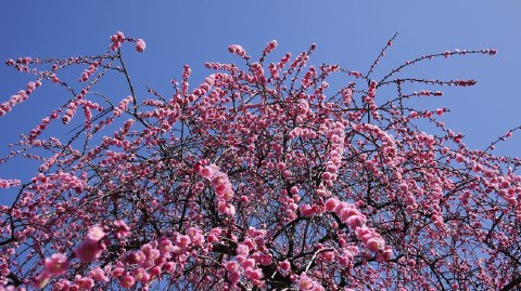 b0013005_1228618.jpg
