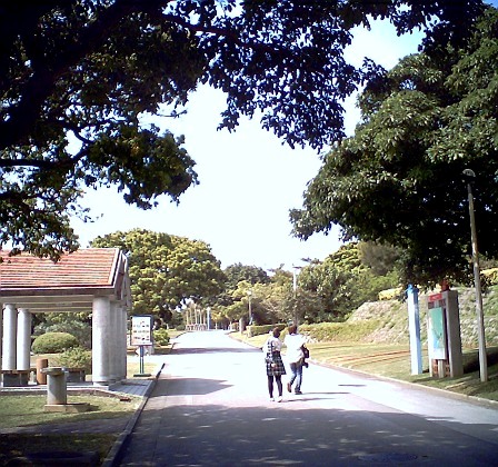 f0177305_0574259.jpg