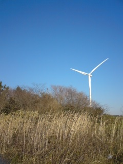 b0085408_23204290.jpg