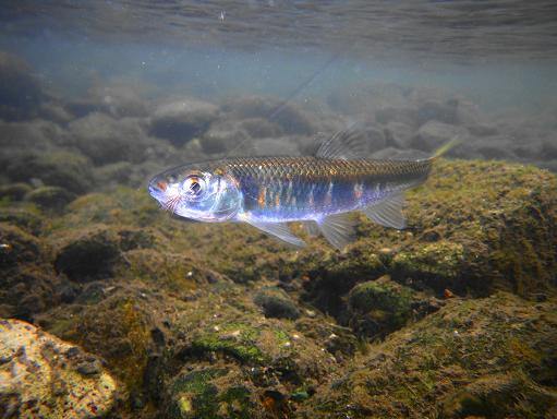 e0123808_22393451.jpg