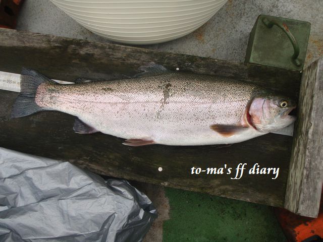 f0137709_2329382.jpg