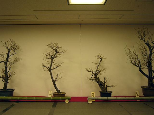 f0167310_8261976.jpg