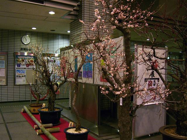 f0167310_8265981.jpg