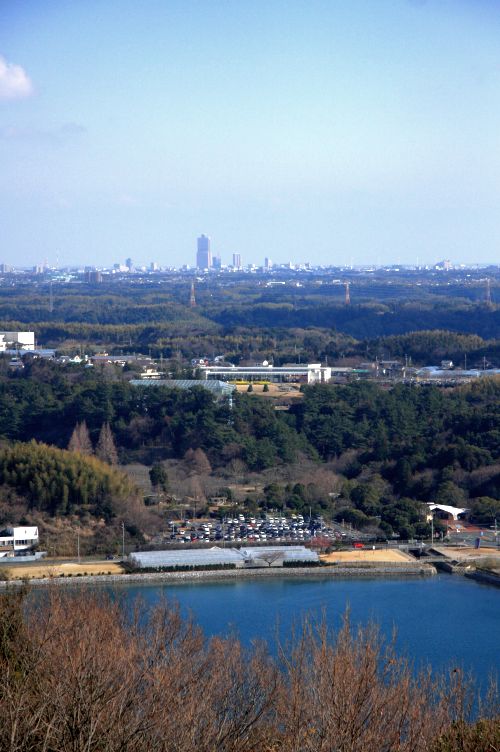 f0169012_21283424.jpg