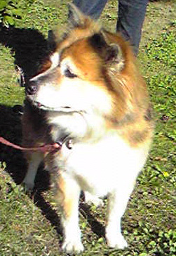 c0029913_1791621.jpg