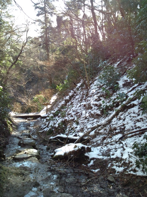 e0022614_21414647.jpg