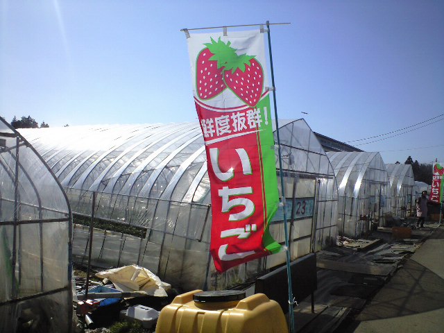 d0149615_22212252.jpg