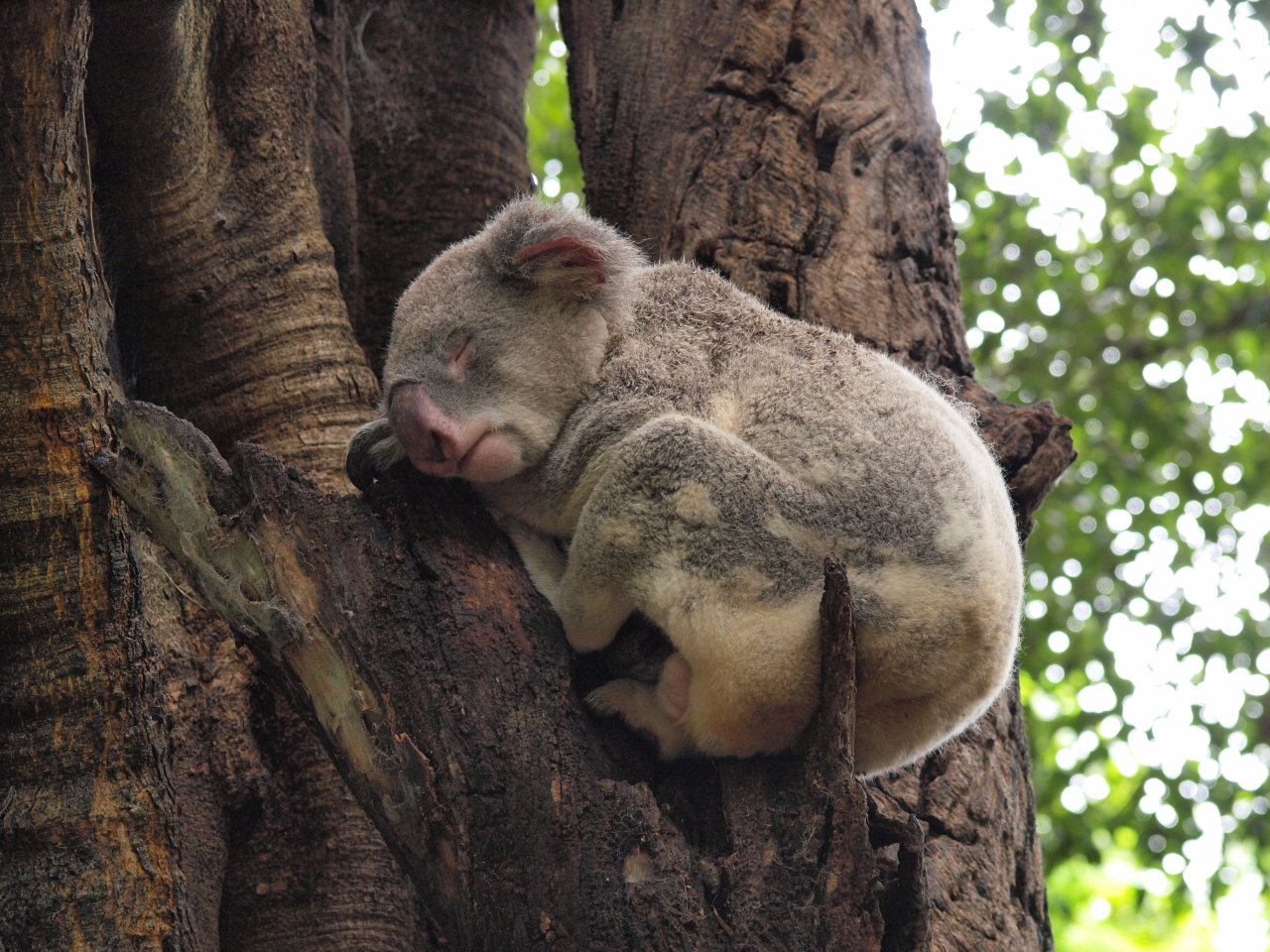 b0168218_375028.jpg