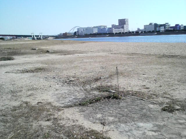 c0225420_22323114.jpg