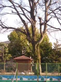 f0031420_18305168.jpg