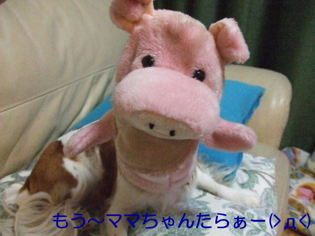 f0214121_21552990.jpg