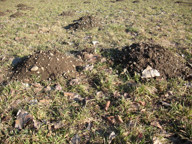f0173324_22414336.jpg