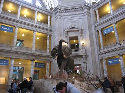 f0177125_1412995.jpg