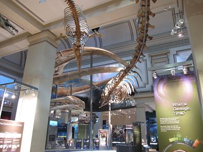 f0177125_1414926.jpg