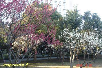 b0102728_1036576.jpg