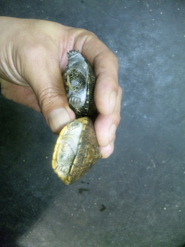 f0217728_12225488.jpg