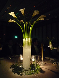 c0125532_23393711.jpg