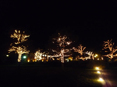 c0125532_23394937.jpg