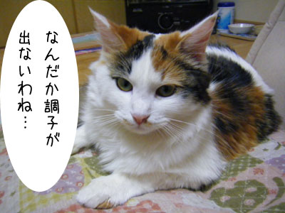 f0008935_1434885.jpg