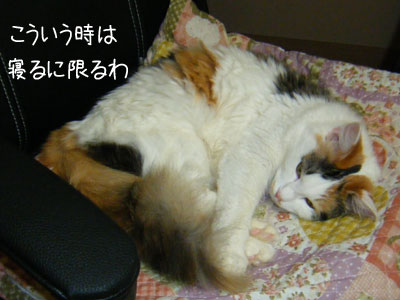 f0008935_148926.jpg