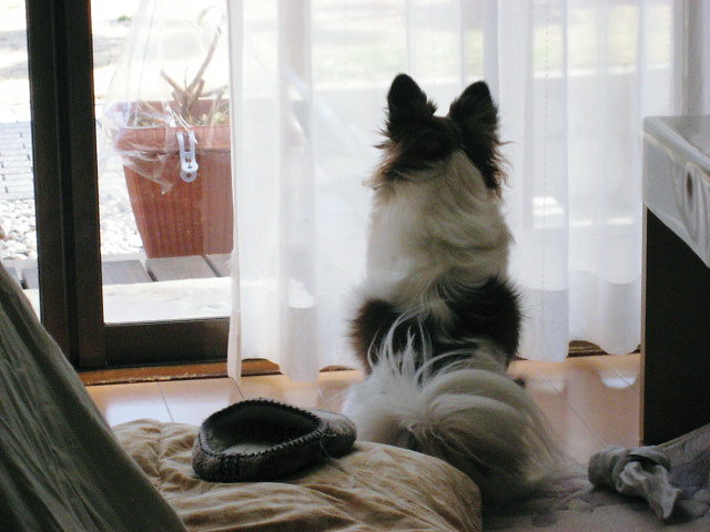 a0149240_21481739.jpg