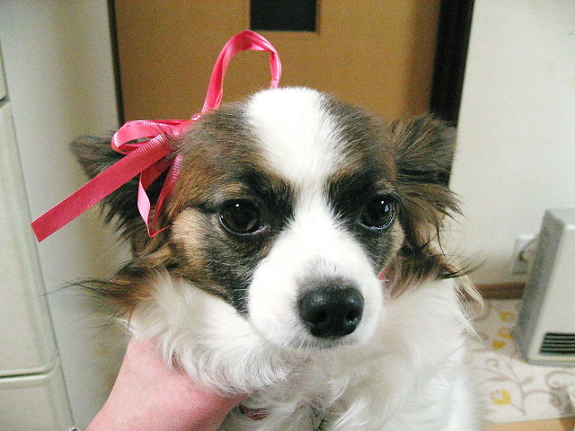 a0149240_21521937.jpg