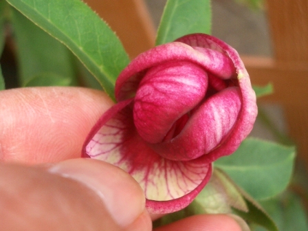 c0025140_2385886.jpg