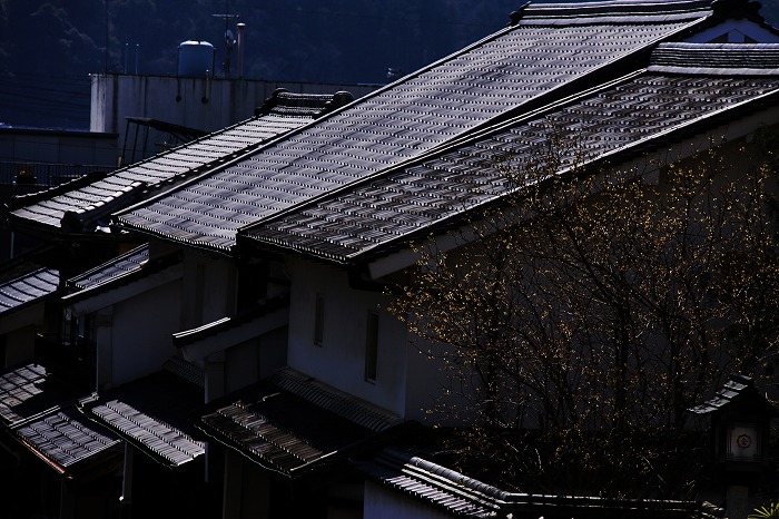 b0168041_2322562.jpg