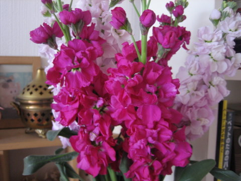 e0018143_1765981.jpg