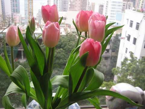 e0018143_1771519.jpg