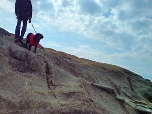 f0095047_234431.jpg