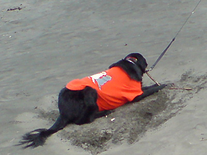 f0095047_23443633.jpg