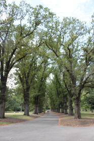 b0153351_8214075.jpg
