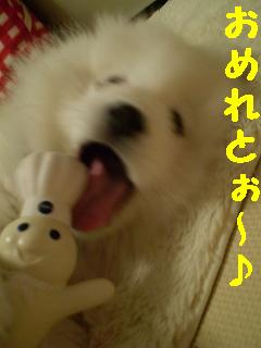 a0166954_014029.jpg