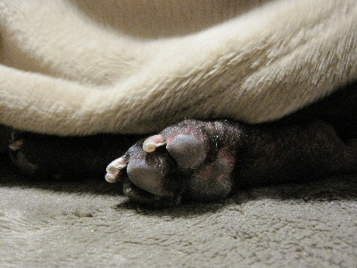 e0126054_18104487.jpg