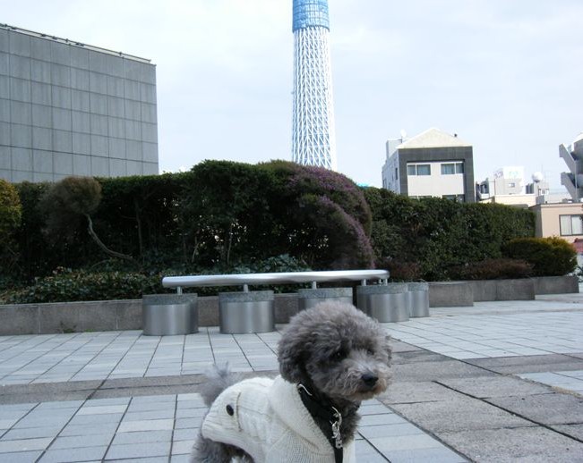 e0129656_22292427.jpg