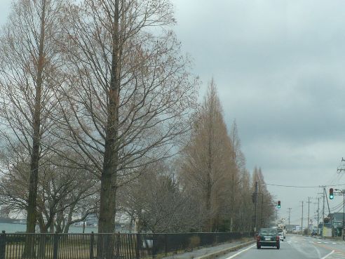 a0063364_22332970.jpg