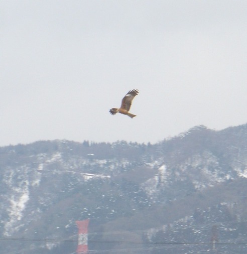 a0063364_236821.jpg